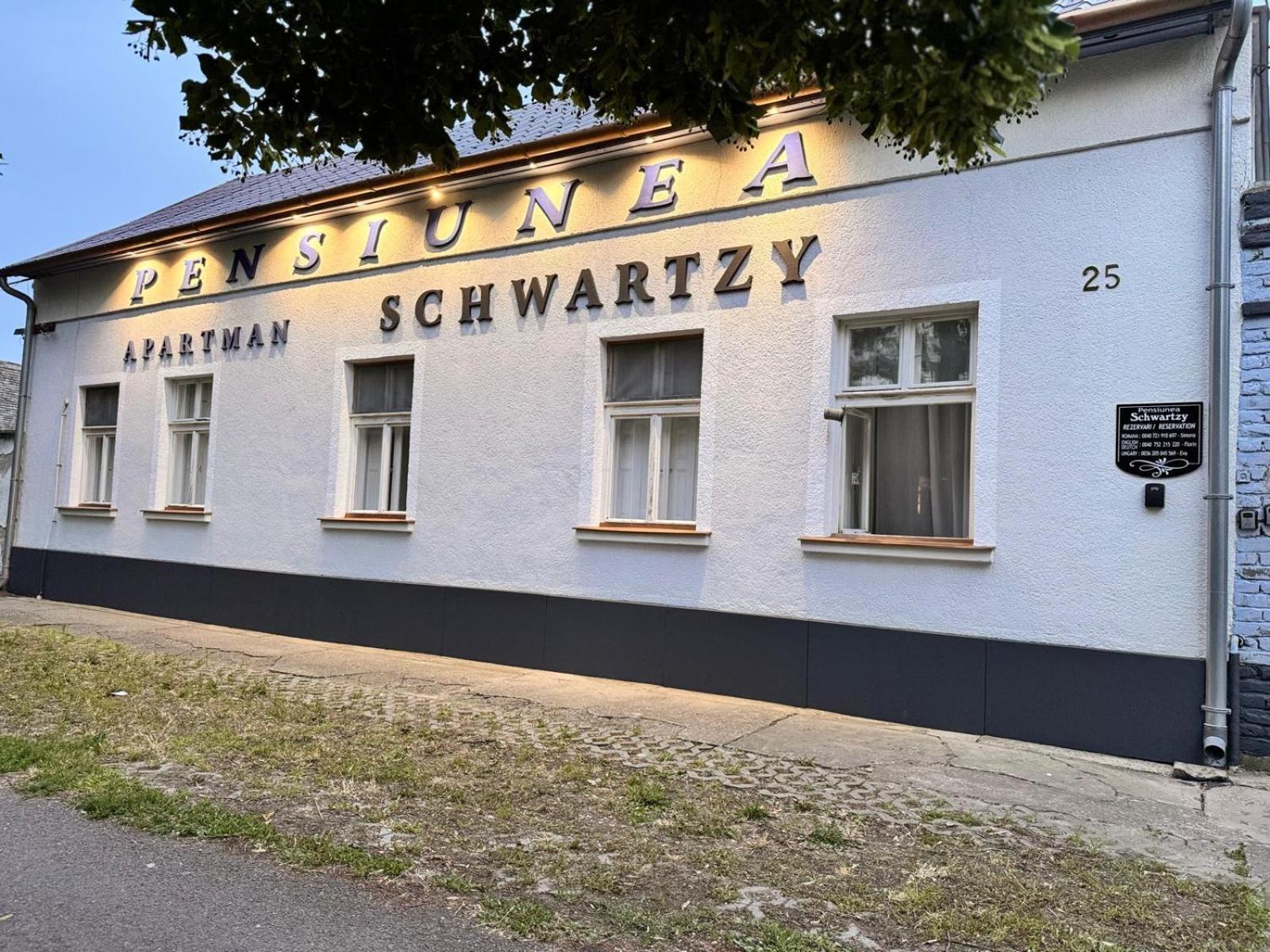 Hotel Pensiunea Schwartzy Makó Exterior foto